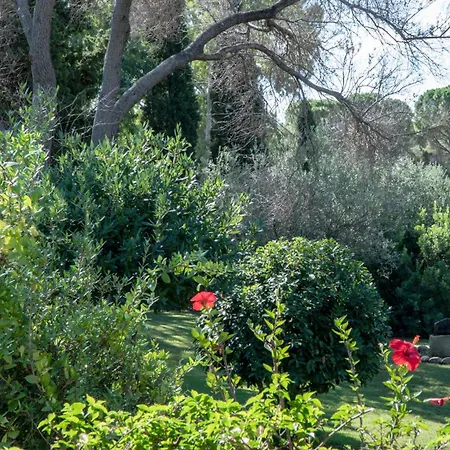 Luxury Flaminia-exclusive Timeless Elegance Villa
